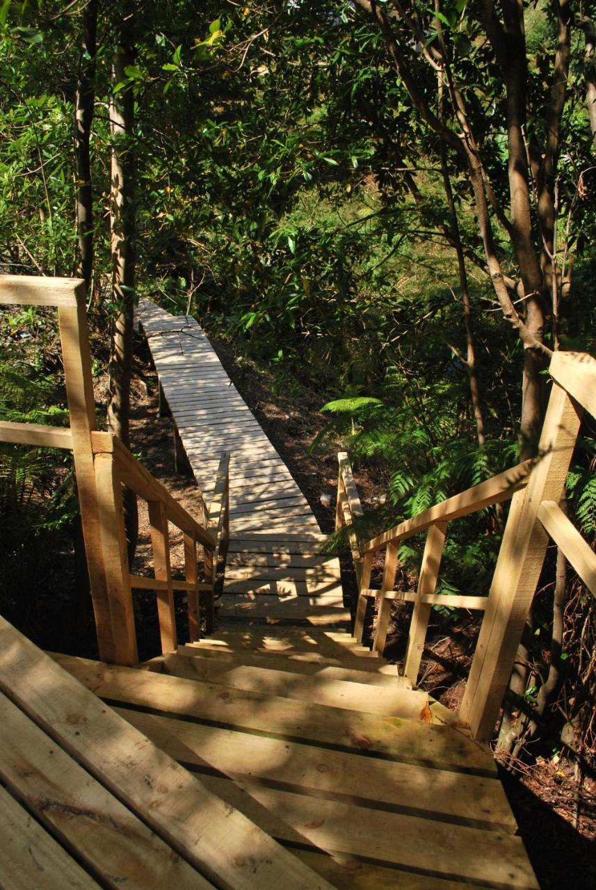 Chucao Bosque Y Cabanas Chaitén Exteriér fotografie
